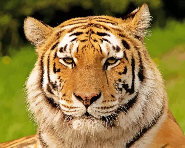 aesthetic siberian tiger face art Diamond Dotz Aesthetic Siberian Tiger Face Art Diamond Painting