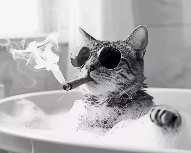 cat smoking in bathroom Diamond Dotz Cat Smoking In Bathroom Diamond Painting