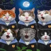Cats Choir Diamond Painting