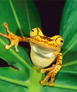 Chachi Tree Frog Diamond Painting