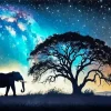 Galaxy Silhouette Of Elephant Diamond Painting