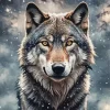 Galaxy Wolf Face Diamond Painting