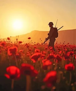 Silhouette Of Soldier In Poppy Field Art Diamond Painting