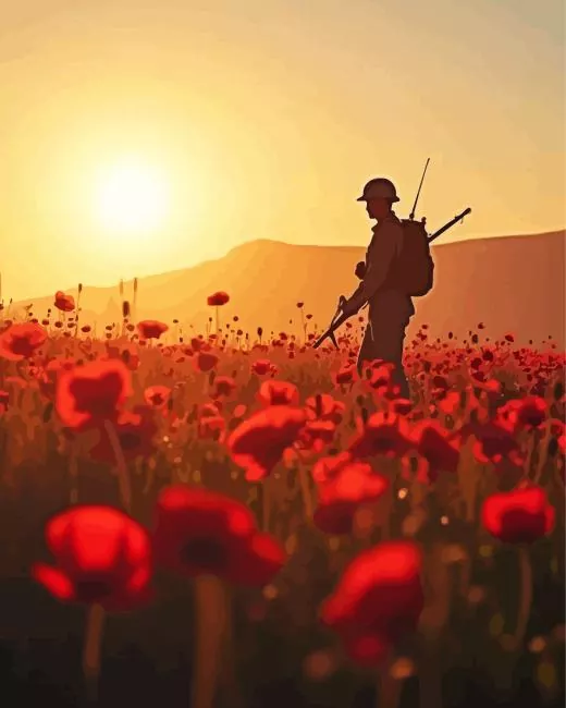 silhouette of soldier in poppy field art Diamond Paintings Silhouette Of Soldier In Poppy Field Art Diamond Painting