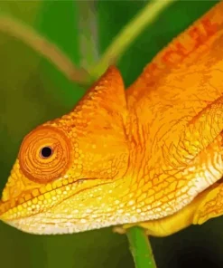 Yellow Chameleon Diamond Painting